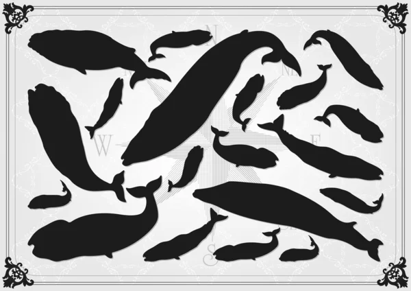 Fondo colección ilustración ballena — Vector de stock