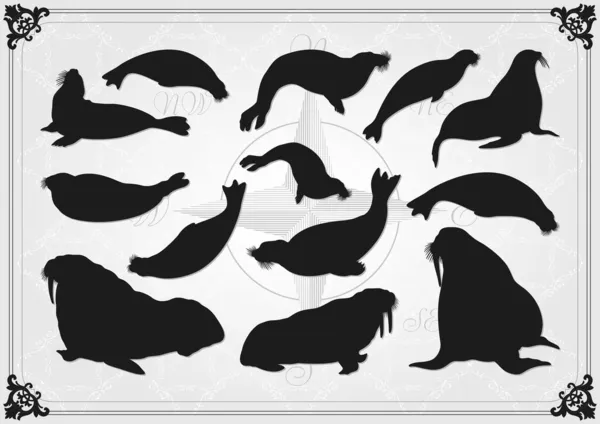 Hotel Sea lion i foka ilustracja kolekcji tło — Wektor stockowy