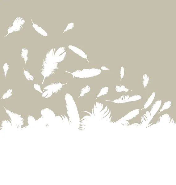 Vogelfedern Hintergrund Illustration Vektor — Stockvektor