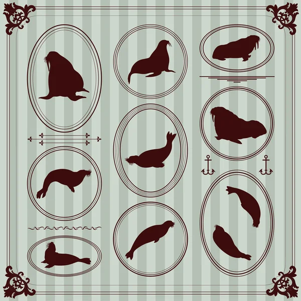 Leone marino e foche illustrazione raccolta sfondo — Vettoriale Stock