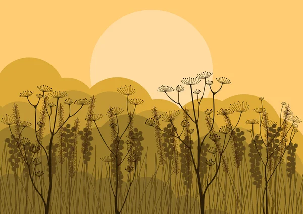 Autumn countryside landscape background illustration — Stock Vector