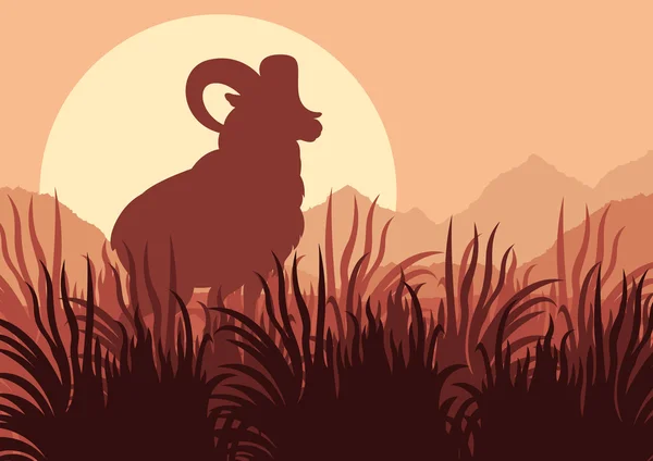 Mountain sheep in wild nature landscape illustration — Stock Vector