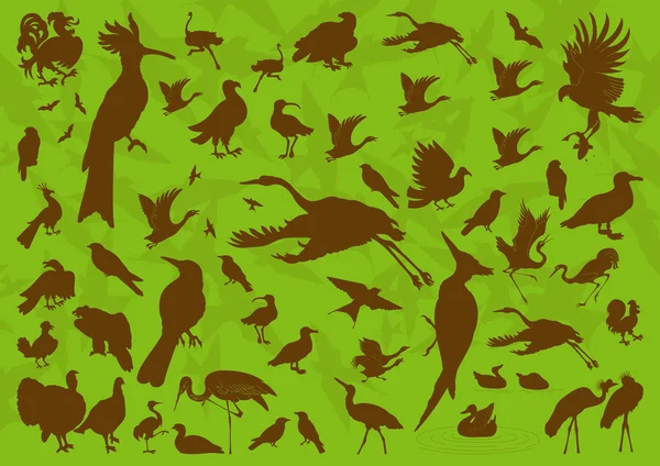 Коллекция иллюстраций птиц и экологии — стоковый вектор
