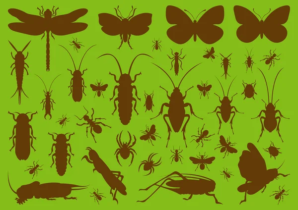 Fondo de la colección de ilustración ambiental de insectos — Vector de stock