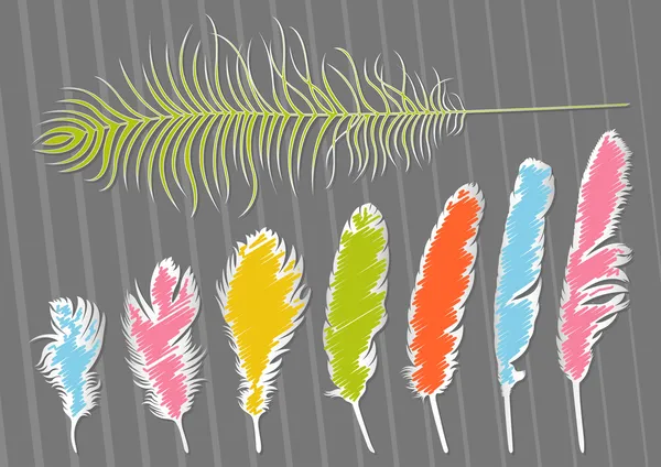 Colorato uccello piume illustrazione collezione sfondo — Vettoriale Stock