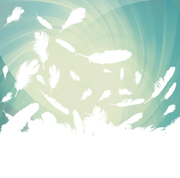 Plumas de aves fondo ilustración vector — Vector de stock