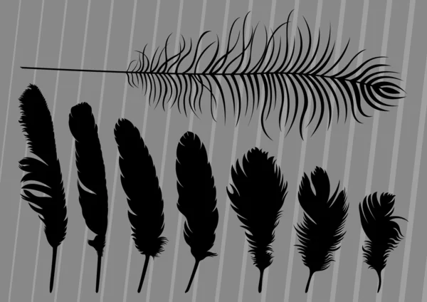 Fågel fjädrar illustration samling bakgrund — Stock vektor