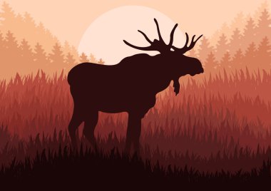 Moose in wild nature landscape background illustration vector clipart