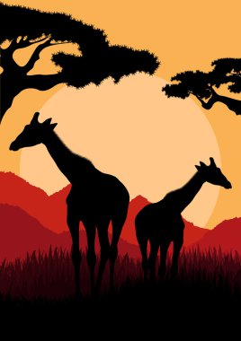 Afrika vahşi doğa dağ manzarası içinde zürafa ailesi silhouettes