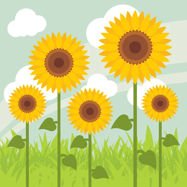 Girasoles amarillos paisaje fondo ilustración — Vector de stock