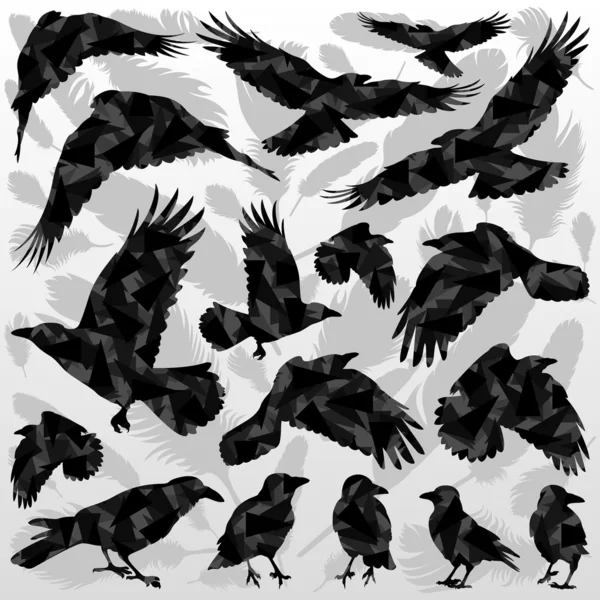 Crow and feathers silhouettes illustration collection background — Stock Vector