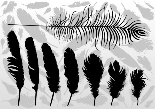 Plumes d'oiseau noir illustration collection fond vecteur — Image vectorielle