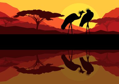 Crane couple in wild mountain nature landscape background illustration vector clipart