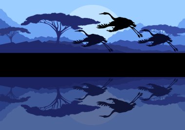 Crane couple in wild mountain nature landscape background illustration vector clipart