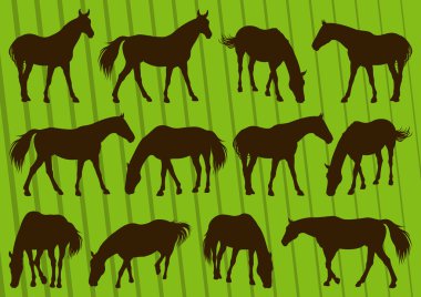 Sport horse silhouettes illustration collection background vector clipart