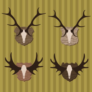 Deer and moose horns hunting trophy illustration collection background vector clipart