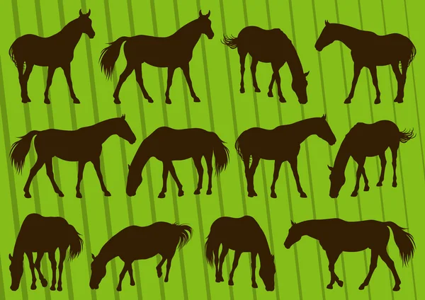 スポーツ馬シルエット コレクションの背景イラスト — ストックベクタ