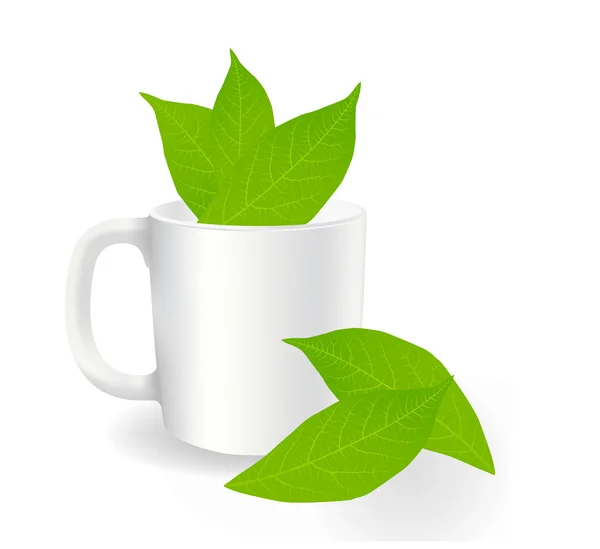 Feuilles de thé vert fraîches sur fond blanc avec vecteur de tasse — Image vectorielle