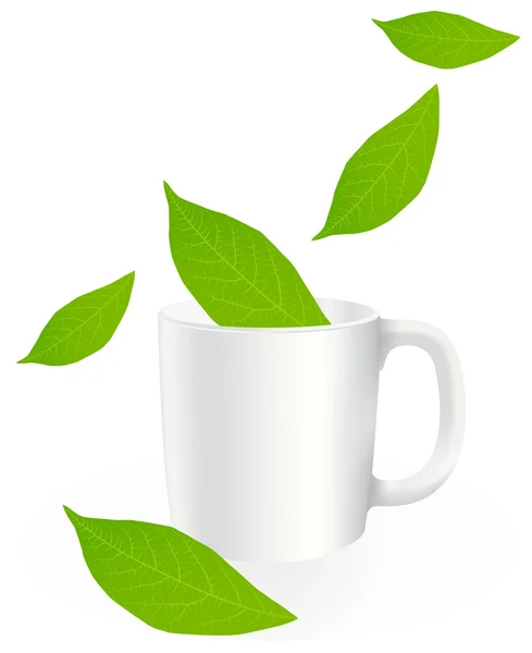Hojas de té frescas y verdes sobre un fondo blanco con vector de taza — Archivo Imágenes Vectoriales