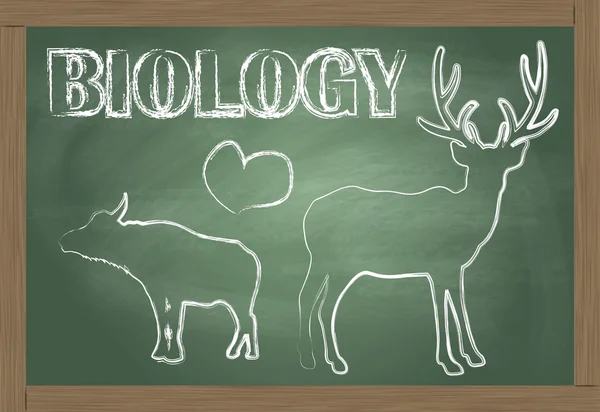 stock vector Biology blackboard vector background