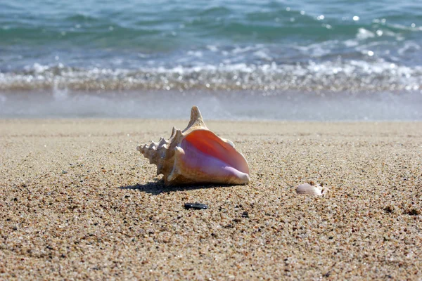 stock image Beautiful beach