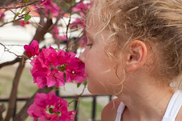 赤い花の茂みの背景の上の少女の肖像画 — ストック写真