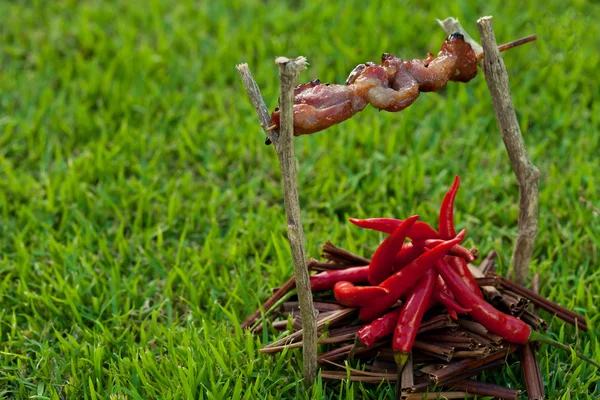 stock image Barbecue on a stick with red pepper, depicting the fire