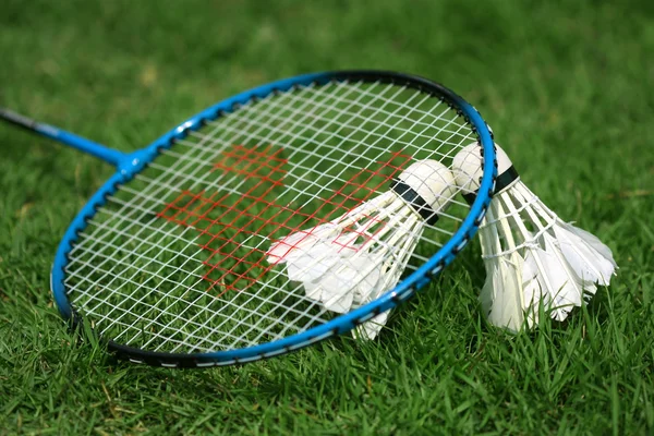 stock image Shuttlecock and badminton