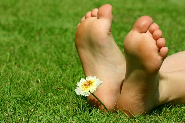 Feet and the flower — Stock Photo, Image
