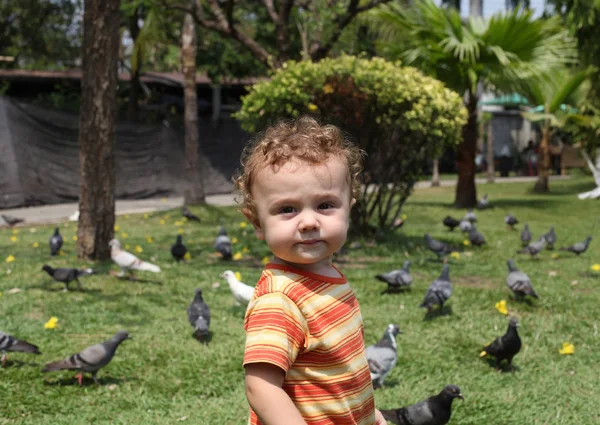 Criança no parque ao lado dos pássaros — Fotografia de Stock