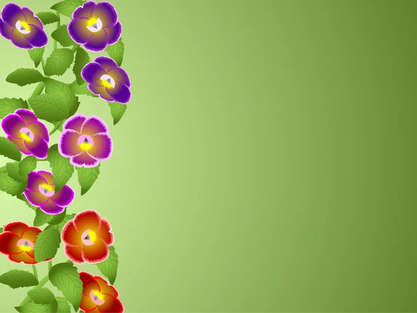 Vectorillustratie van bloemen — Stockvector