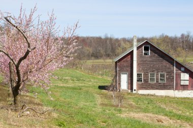 ülke barn