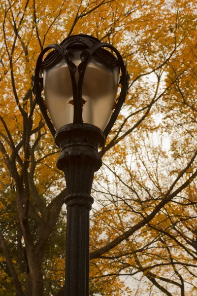 New york city central parku uličky na podzim. — Stock fotografie