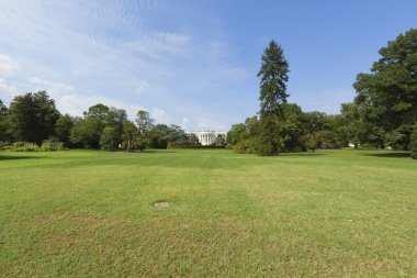 Beyaz Saray ön çim