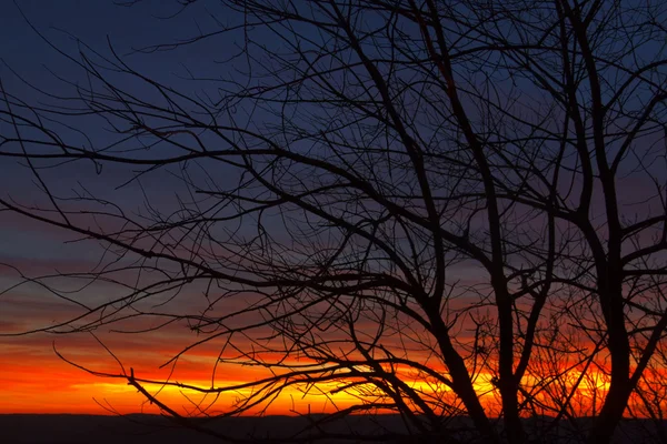 Cores bonitas do pôr do sol . — Fotografia de Stock