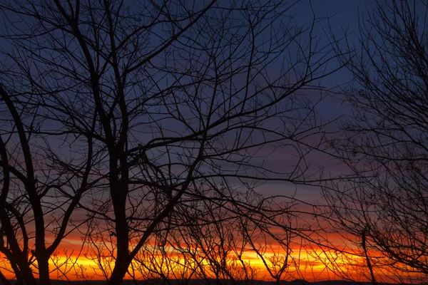 Beautiful Colors of sunset. — Stock Photo, Image