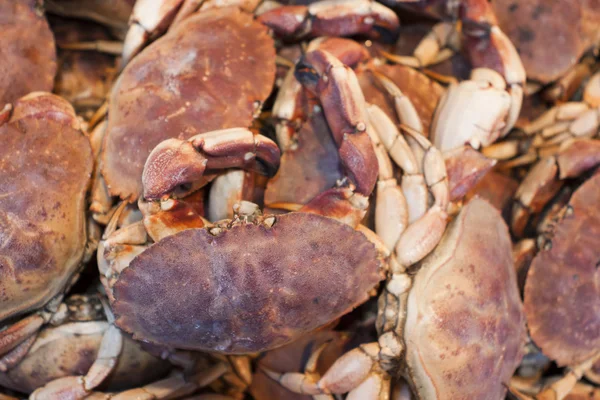 Krabben op de markt. — Stockfoto