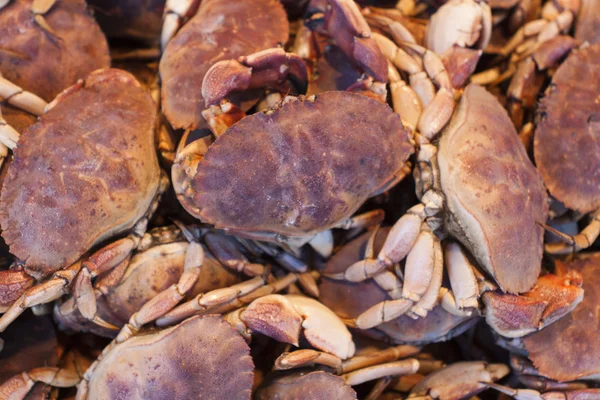 Crabes au marché . — Photo