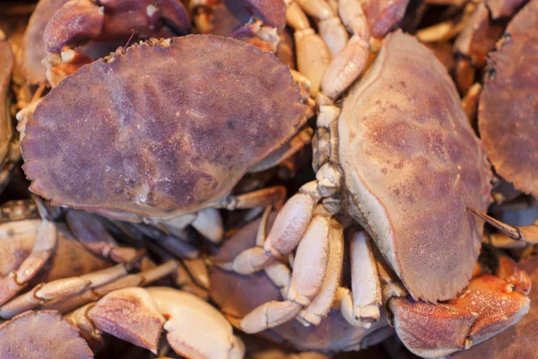 Krabben auf dem Markt. — Stockfoto