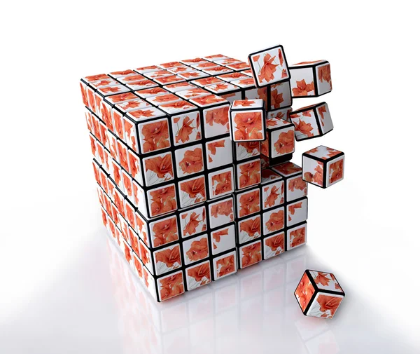 Cubos com padrão de flor — Fotografia de Stock