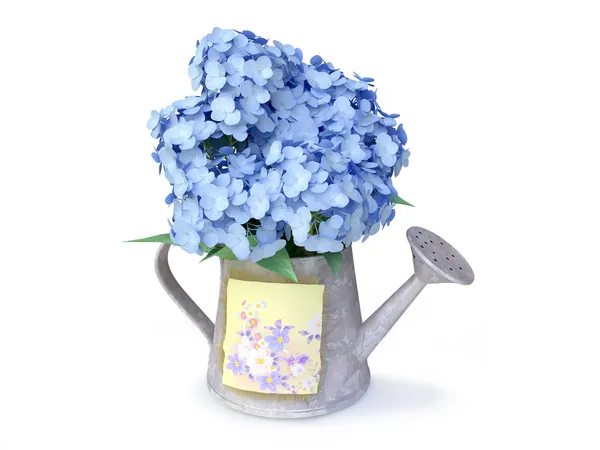 Blaue Hortensien in der Gießkanne lizenzfreie Stockbilder