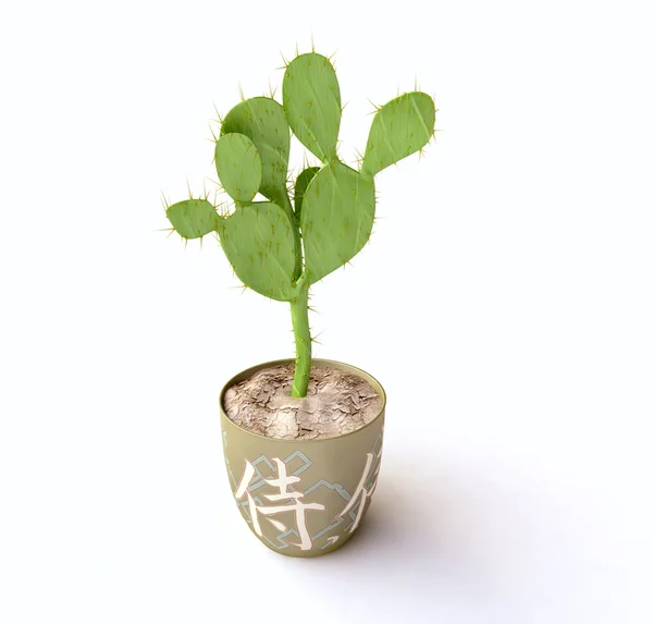 Isolierter Kaktus in 3D — Stockfoto