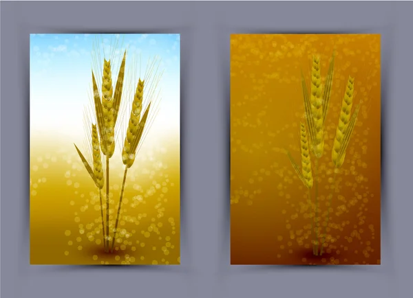 Векторный пшеничный креативный плакат. Eps10 — стоковый вектор