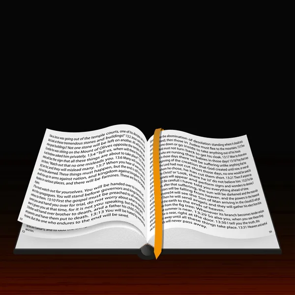 Vector open Bijbel. beste keuze — Stockvector