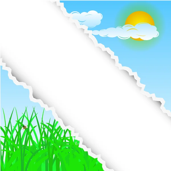 Sommaren slits bakgrund med plats för din text. vektor illustration — Stock vektor