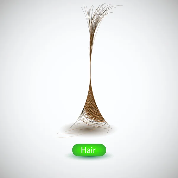Fond de cheveux. illustration vectorielle — Image vectorielle