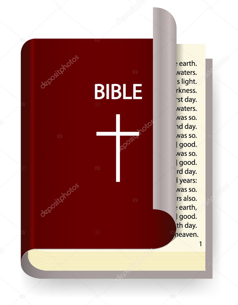 Vector Holy Bible isolated on white
