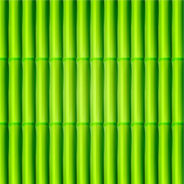 Vektorové bambusové pozadí. eps10 — Stockový vektor