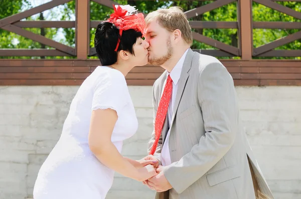 Novia y novio — Foto de Stock