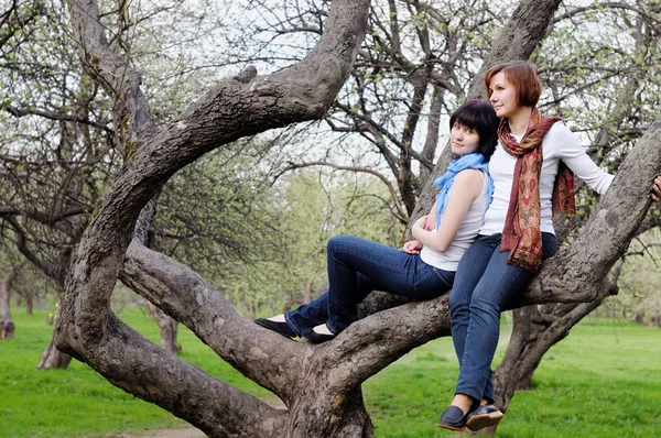 Женщина и ее взрослая дочь сидят на дереве — стоковое фото